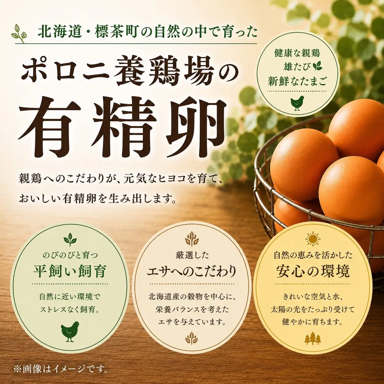 【ポロニ養鶏場】有精卵 計60個（10個×6パック）|  卵