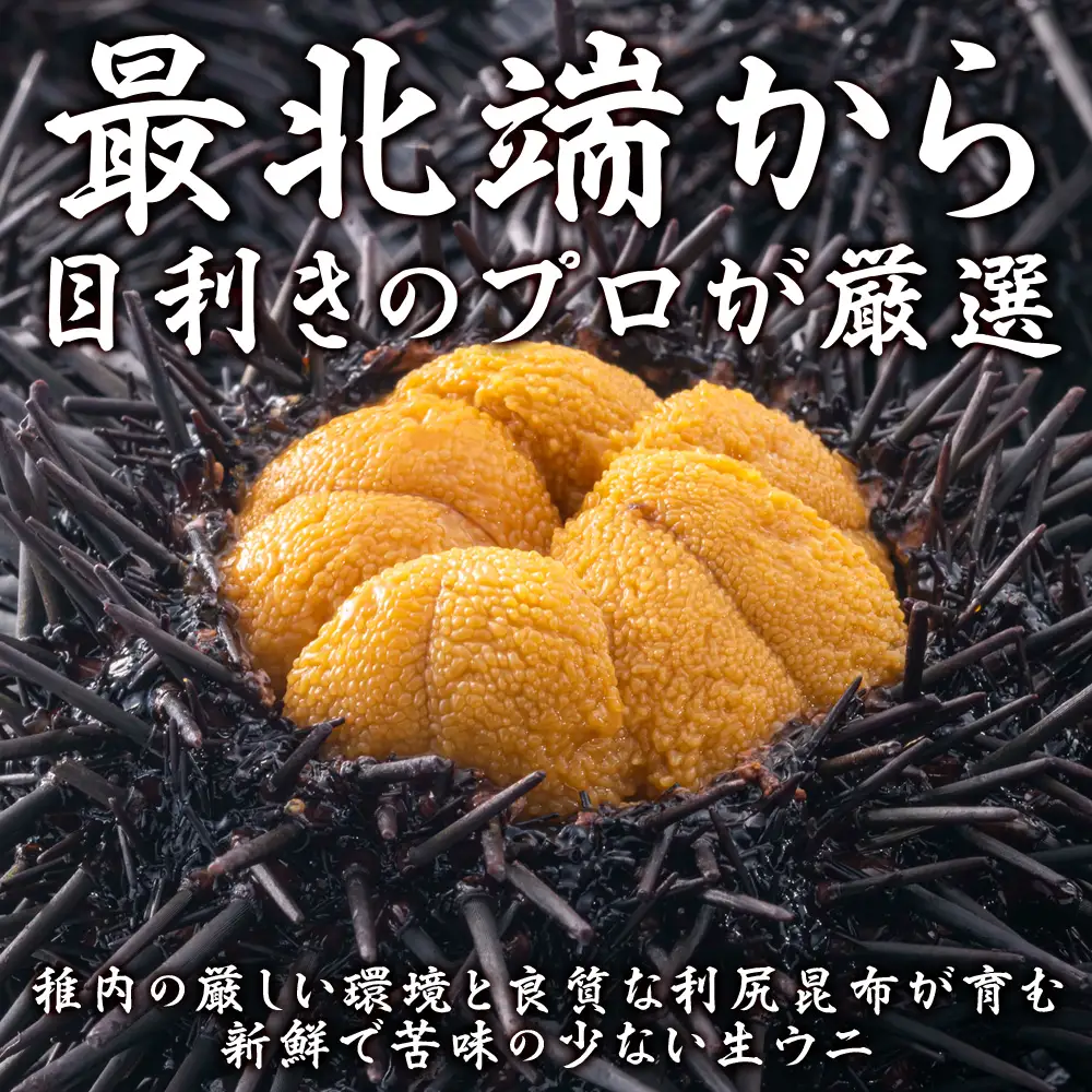 【2027年発送】【うにの名産地稚内市】最北端の生むらさきうに(100gパック×2)