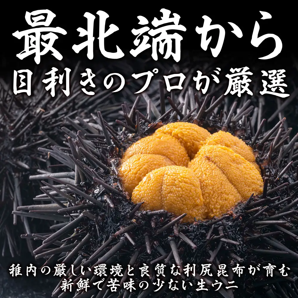 【厳選PREMIUM】美味しいウニは昆布の名産地にあり!生むらさきうに240g