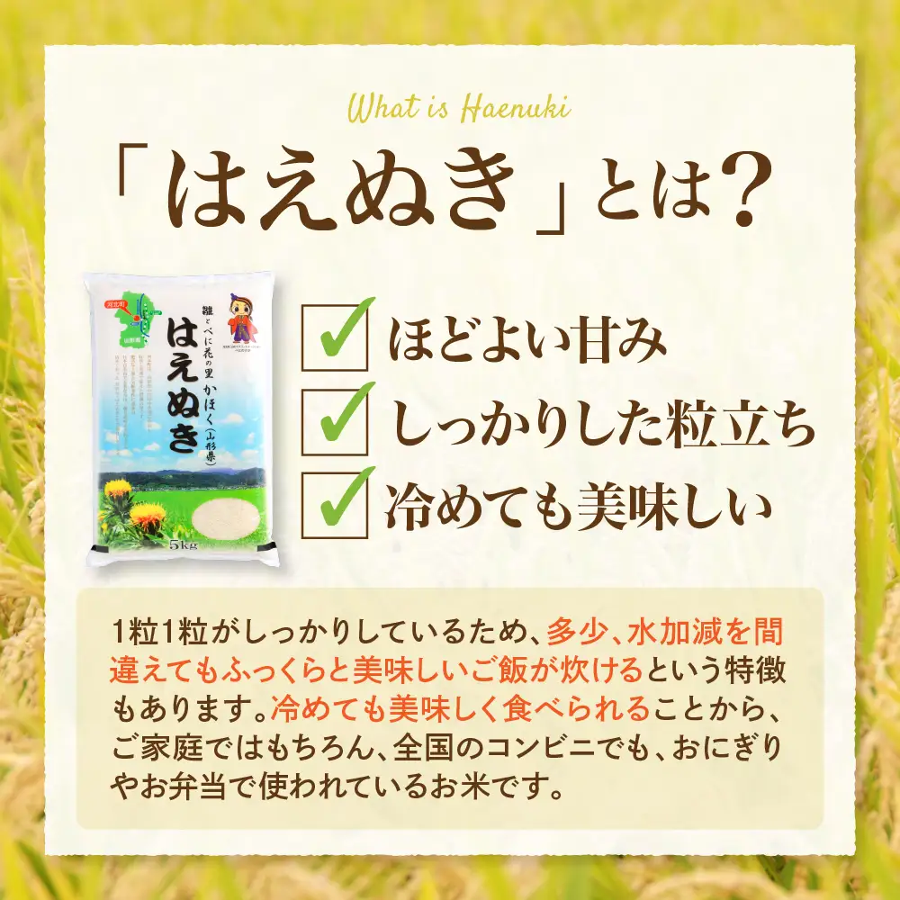 【令和8年産米】2027年8月上旬発送 はえぬき10kg（5kg×2袋） 山形県産 【JAさがえ西村山】