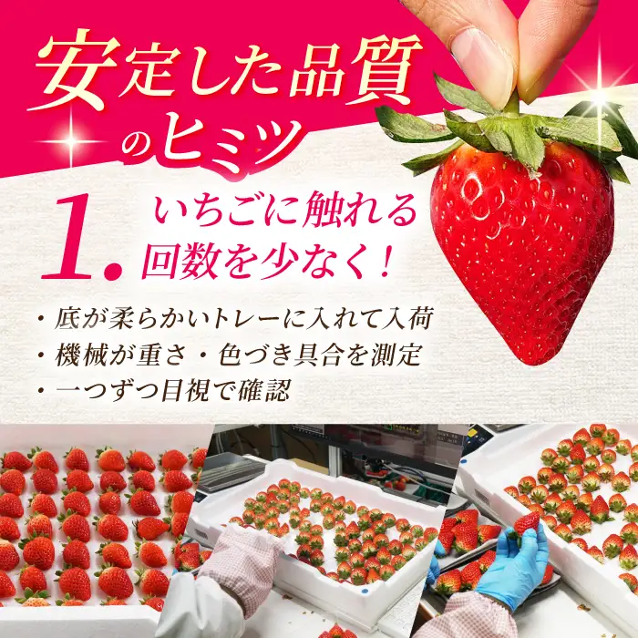  いちごさん 150g×6パック いちご IAK016
