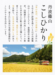 【令和7年産】丹波篠山産 コシヒカリ 10kg 白米 白米 単一原料米 産地直送米 おいしい お米 精米 コシヒカリ ブランド おこめ 健康 送料無料 おすすめ 人気 口コミ MTS003