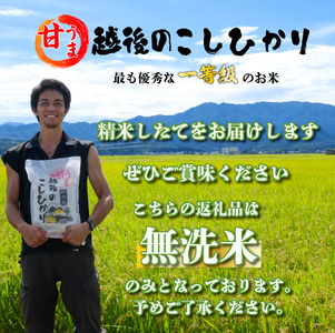 無洗米 コシヒカリ 20kg 新潟産 令和7年産 無洗米 toushin033_01