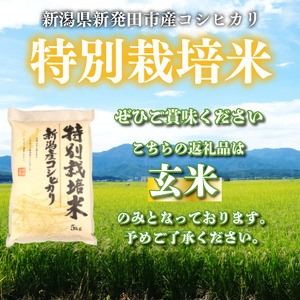 新潟産 特別栽培米 コシヒカリ 玄米 10kg 令和7年産 玄米 toushin029_02