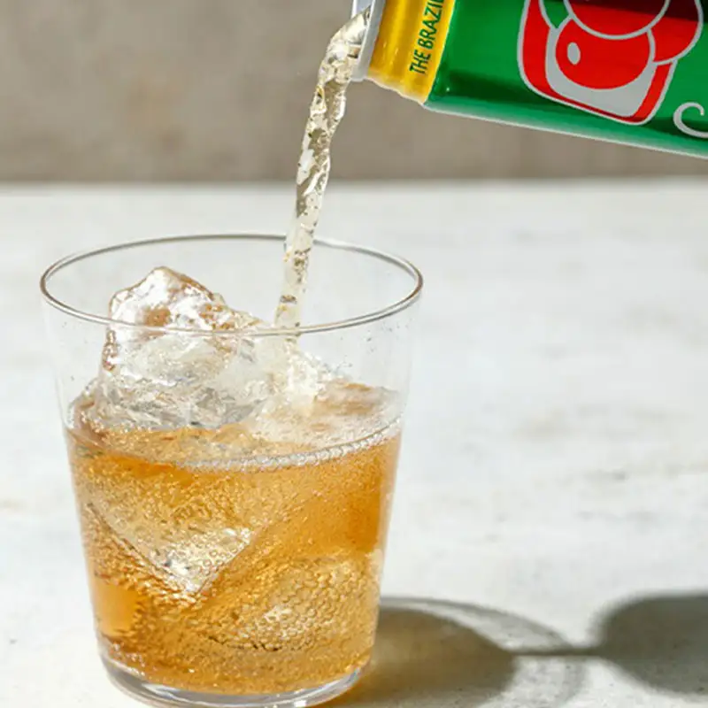 ガラナ アンタルチカ 350ml×24本 炭酸飲料 ガラナ
