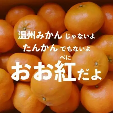 【2026年12月頃から順次発送】国頭村産の島みかん おお紅 3kg やんばる育ちの希少柑橘【1618480】