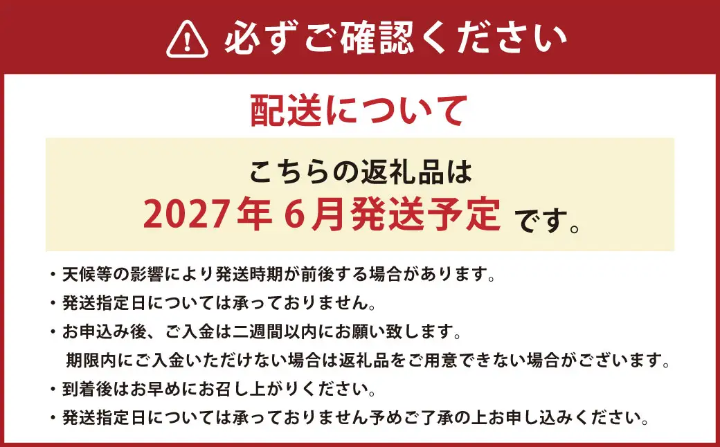 ＜ R8年熊本地震復興支援 ＞熊本特産！小玉スイカ 2玉入り すいか スイカ 西瓜 果物 フルーツ 【2027年6月発送予定】