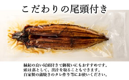 AC134.【国内産】上うなぎ蒲焼.2尾（約300g）『1~2ヶ月前後でお届け！！』