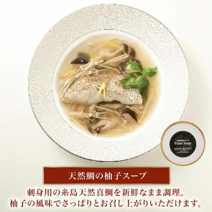 【全12回定期便】SoupSelect 2点セット 糸島市 / 糸島正キ スープ レトルト [AQA073]