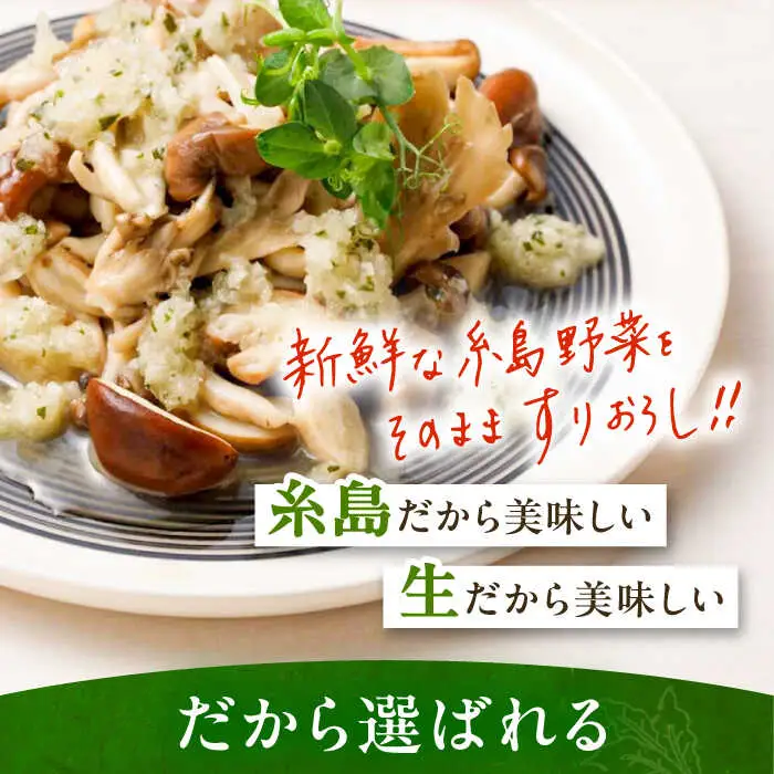 【全3回定期便/2ヶ月に1回】糸島野菜を食べる生ドレッシング おまかせ3本セット 糸島市 / 糸島正キ [AQA092]