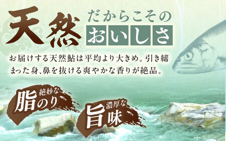 天然あゆ の一夜干し 中 3匹【スピード配送】/ 恵那市 / 恵那物産館 [AUFS001]