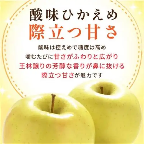【26年10月～11月順次出荷予定】平均糖度13度以上! トキ 約10kg 訳あり　青森りんご_果物・フルーツ りんご  リンゴ 林檎_【配送不可地域：沖縄県】【1611810】