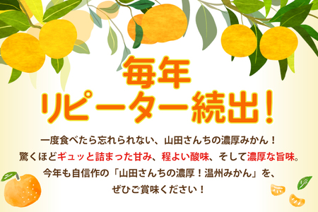 【期間限定発送】 みかん 温州みかん 10kg