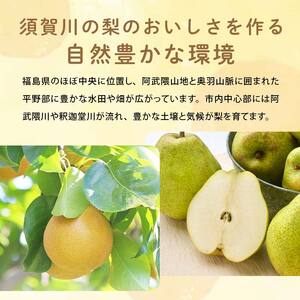 ＜先行受付＞ 嘉斎果樹園の梨「豊水」約3kg（7～10個） なし ナシ 梨 デザート フルーツ 果物 くだもの 果実 食品 F7X-0882