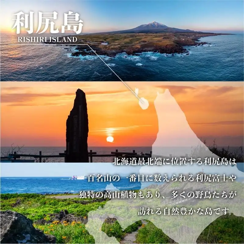 利尻島産 いくら醤油漬け 360g(180×2パック)｜天然イクラ 小分け いくら醤油漬 北海道 国産 [1110006]