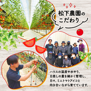 【先行予約】アイコ ミニトマト 2.1kg トマト 牧之原 静岡県 松下農園