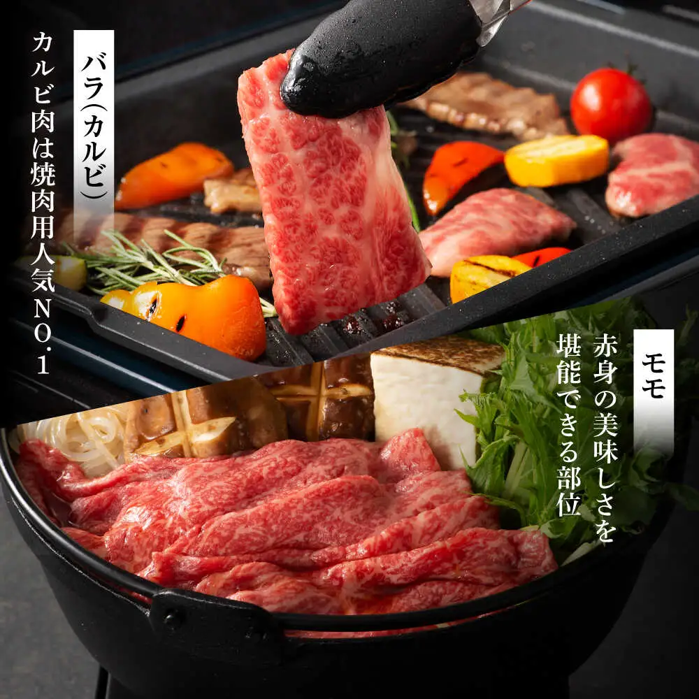 全12回定期便 熊本特産 馬刺し とくまもと黒毛和牛 フジチクオリジナル贅沢食べ比べセット 3905 馬刺し BHAD053