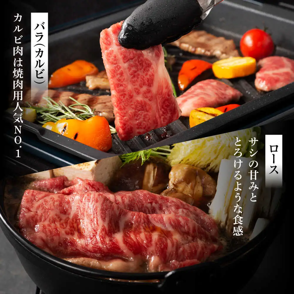 全3回定期便 フジチクオリジナル ふじ馬刺しと藤彩牛の贅沢食べ比べセット 3906 馬刺し BHAD054