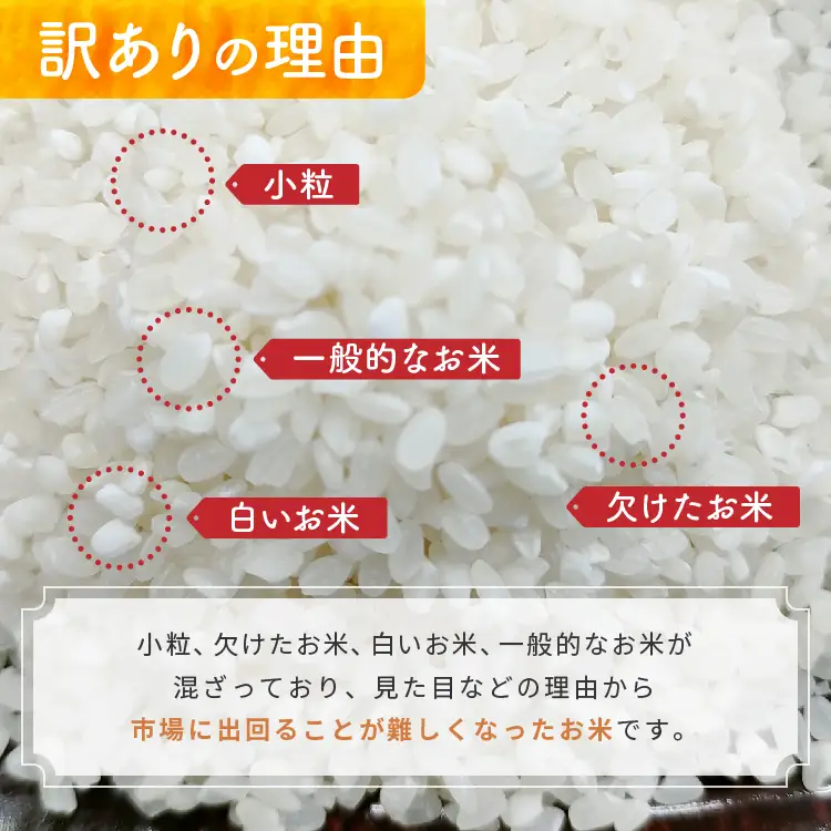 【栃木県共通返礼品】令和7年度産 栃木県産 こしひかり 5kg × 4袋 （合計20kg） | ふるさと 納税 コシヒカリ お米 精米 白米 玄米 大粒 共通返礼品 送料無料 那珂川町 栃木県