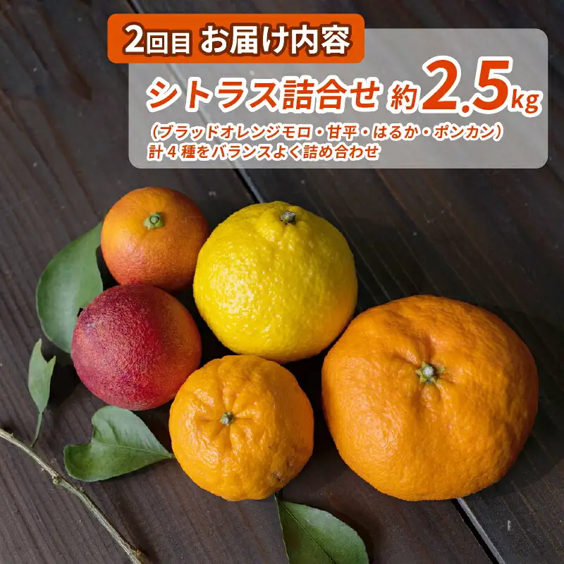 シトラス フルーツ ＆ ジュース 4回 定期便 コルレオファーム 不知火 デコポン ( デコポン と同品種) 南柑20号 ブラッドオレンジ モロ 甘平 はるか ポンカン タロッコ せとか 清見 シトラスジュース 720ml B052-145019