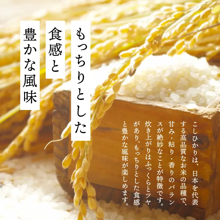 米 令和7年産 こしひかり5kg【株式会社あだたら米】