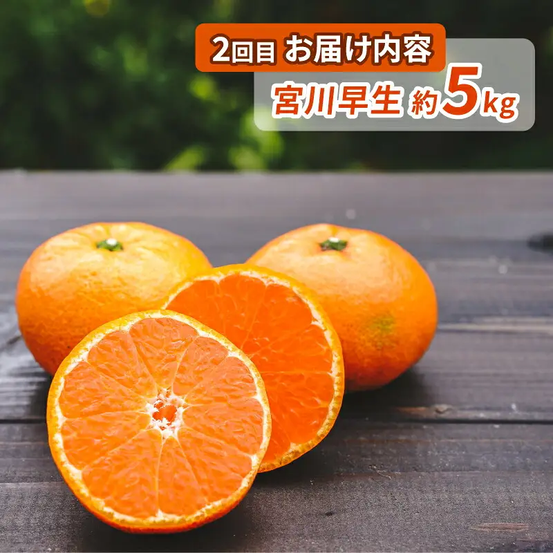 シトラス フルーツ ＆ ジュース 6回 定期便 コルレオファーム 極早生 宮川早生 南柑20号 ブラッドオレンジ モロ 甘平 はるか ポンカン タロッコ せとか 清見 不知火 デコポン ( デコポン と同品種) シトラスジュース 720ml × 3本 B072-145020