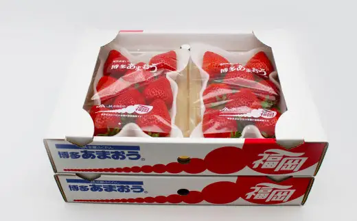 博多あまおう2パック（冬） 250g～270g×2パック 合計約500g～540g あまおう いちご 苺 イチゴ フルーツ 果物 くだもの【2026年12月上旬-2027年1月下旬発送予定】