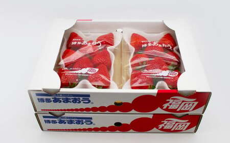 博多あまおう6パック（冬） 250g～270g×6パック 合計約1500g～1620g あまおう いちご 苺 イチゴ フルーツ 果物 くだもの【2026年12月上旬-2027年1月下旬発送予定】