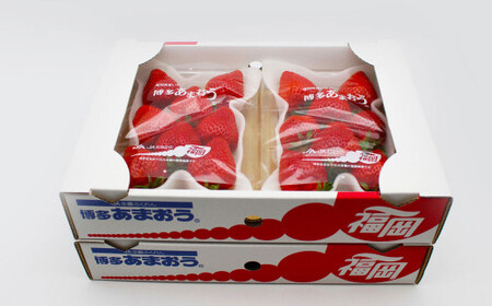 博多あまおう6パック（春） 250g～270g×6パック 合計約1500g～1620g あまおう いちご 苺 イチゴ フルーツ 果物 くだもの【2027年2月上旬-4月下旬発送予定】