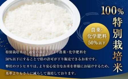 【令和7年産米】簡単便利！食味鑑定士板垣謹製 ちょっと贅沢なコシヒカリパックご飯150g×10個 1039037