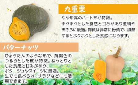 かぼちゃ 詰め合わせ 約3~5玉 カボチャ