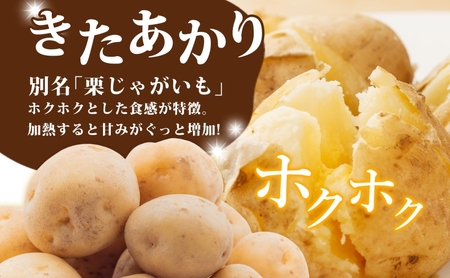 じゃがいも きたあかり 小野寺農園 北海道産 じゃがいも【10kg】【先行予約】