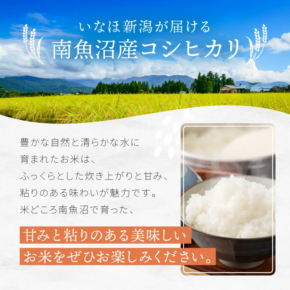 【令和7年】南魚沼産コシヒカリ 白米 5kg | コシヒカリ