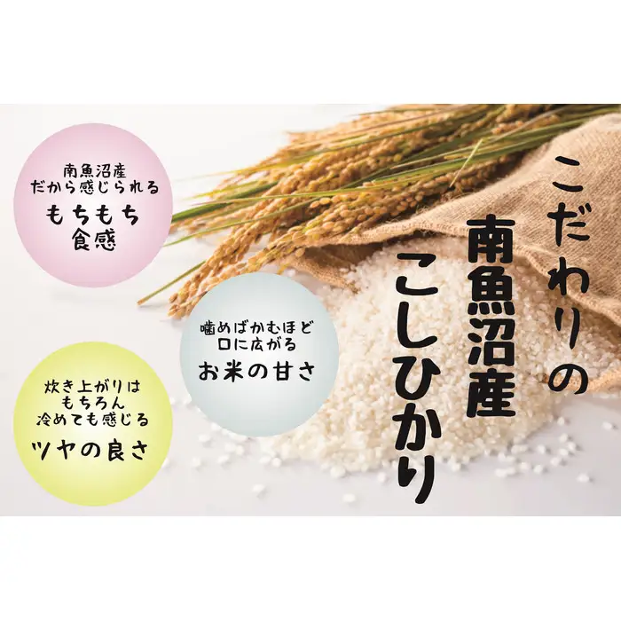 【令和7年】【定期配送】南魚沼産コシヒカリ 白米 5kg 全12回 | コシヒカリ