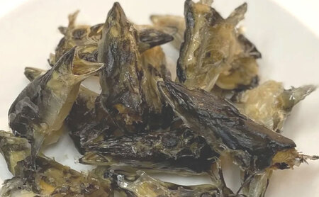【2026年8月上旬より順次発送】愛犬と絆を深めるごほうびトリーツ「Dryeel 70g×3袋」おやつ うなぎ 静岡県 浜松市 
