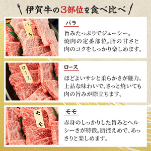 牛肉 伊賀忍者ビーフ 焼肉 3種 600g 牛肉