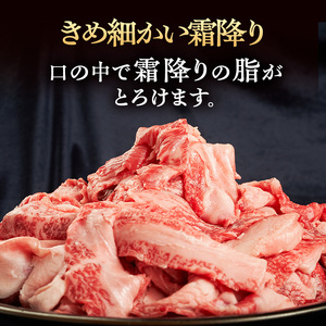 伊賀牛 スジ肉 3kg 三重県 煮込み 伊賀牛