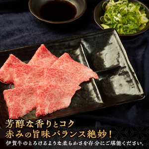 伊賀牛 霜降り 牛刺し 400g 三重県 伊賀牛