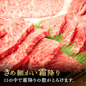 伊賀牛 BBQ セット リブステーキ 上ロース 伊賀牛