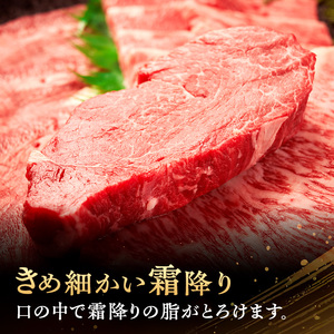 伊賀牛 BBQ セット サーロイン ヘレ 650g 伊賀牛
