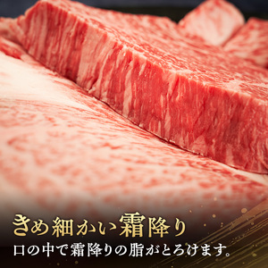 伊賀牛 ステーキ セット 550g 4種 伊賀牛