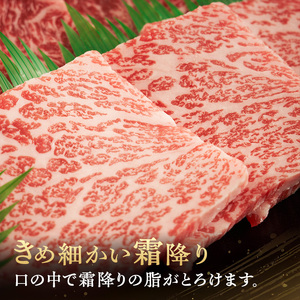 伊賀牛 BBQ 特選 ペア盛 2人用 伊賀牛