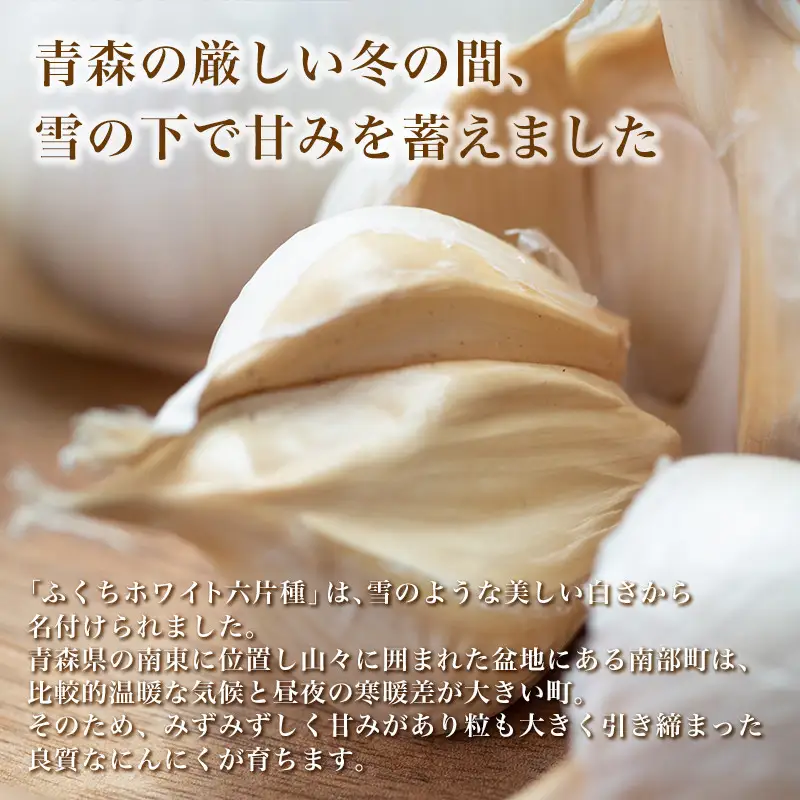 南部町営市場 直送 にんにく「ふくちホワイト六片種」（2Lサイズ×7個） 《カネテ青果》 F21U-124