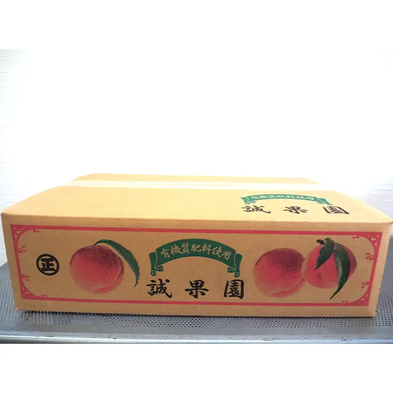 ≪先行予約≫ 【訳あり】 もぎたて発送 桃 まどか 約4.5kg (10～18個) 【誠果園】 家庭用 F21U-674