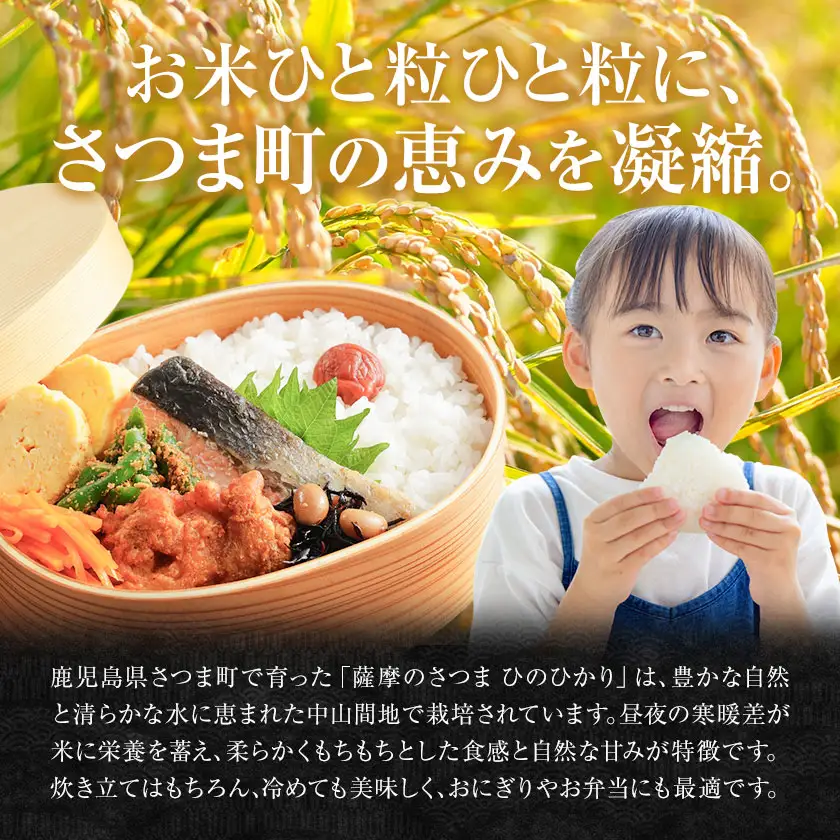 【3ヶ月定期便】令和7年産 薩摩のさつま ひのひかり  5kg×1袋×3回 計15kg  北さつま農協《お申込み翌月から出荷》