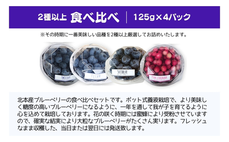 ブルーベリー 国産大粒 2種以上食べ比べ 125g×4パック 計500g | ブルーベリー 金子果樹園