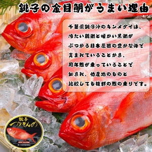 金目鯛 フィレ 2枚 鯛