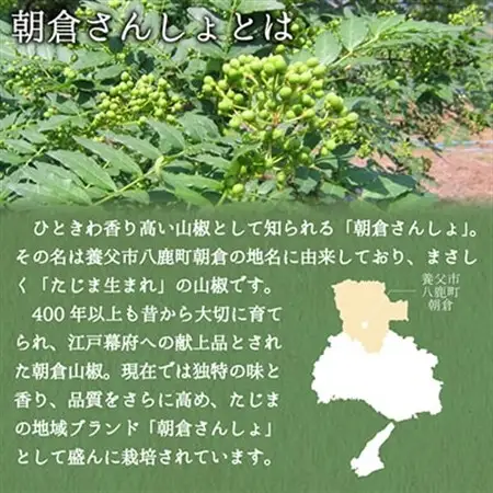 2027年先行予約 5月下旬～発送 朝倉さんしょ 1kg 生 実山椒 クール便 冷蔵 兵庫県産 直送【配送不可地域：離島】【1616574】