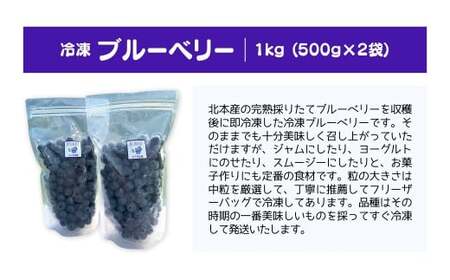 ブルーベリー 国産 冷凍ブルーベリー 500g×2袋 計1kg | ブルーベリー 金子果樹園