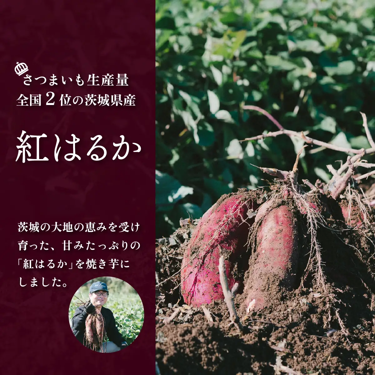 焼き芋 訳あり 冷凍 ミニ焼き芋 紅はるか 2kg